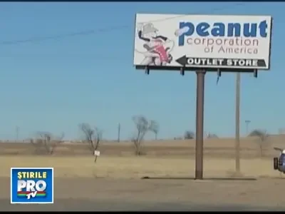 Salata, afinele si tonul pot fi periculoase pentru sanatate!