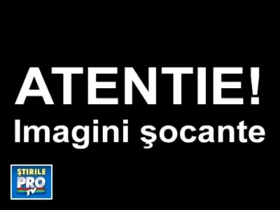 VIDEO DRAMATIC! Mama-elefant isi resusciteaza puiul nou-nascut!