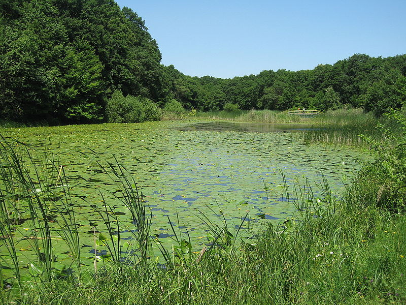 Ipotesti, locul unde s-a nascut Mihai Eminescu