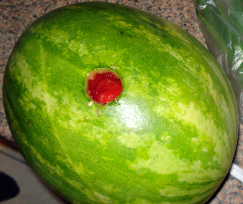 Heroina de 100.000 de lei burdusita intr-un penene!