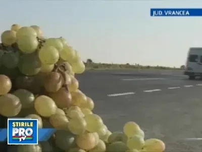 Afla cum sa iti umpli camara cu alimente naturale si ieftine!