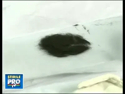 O suvita din parul lui Elvis Presley, scoasa la licitatie in Statele Unite!