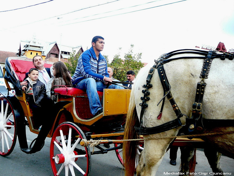 Liber ca pasarea cerului! Dupa doua nopti de arest, Potarca a fost eliberat