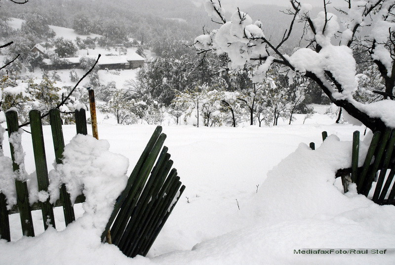 Ninsori abundente in judetul Caras Severin. Vantul va sufla cu pana la 90 de kilometri pe ora