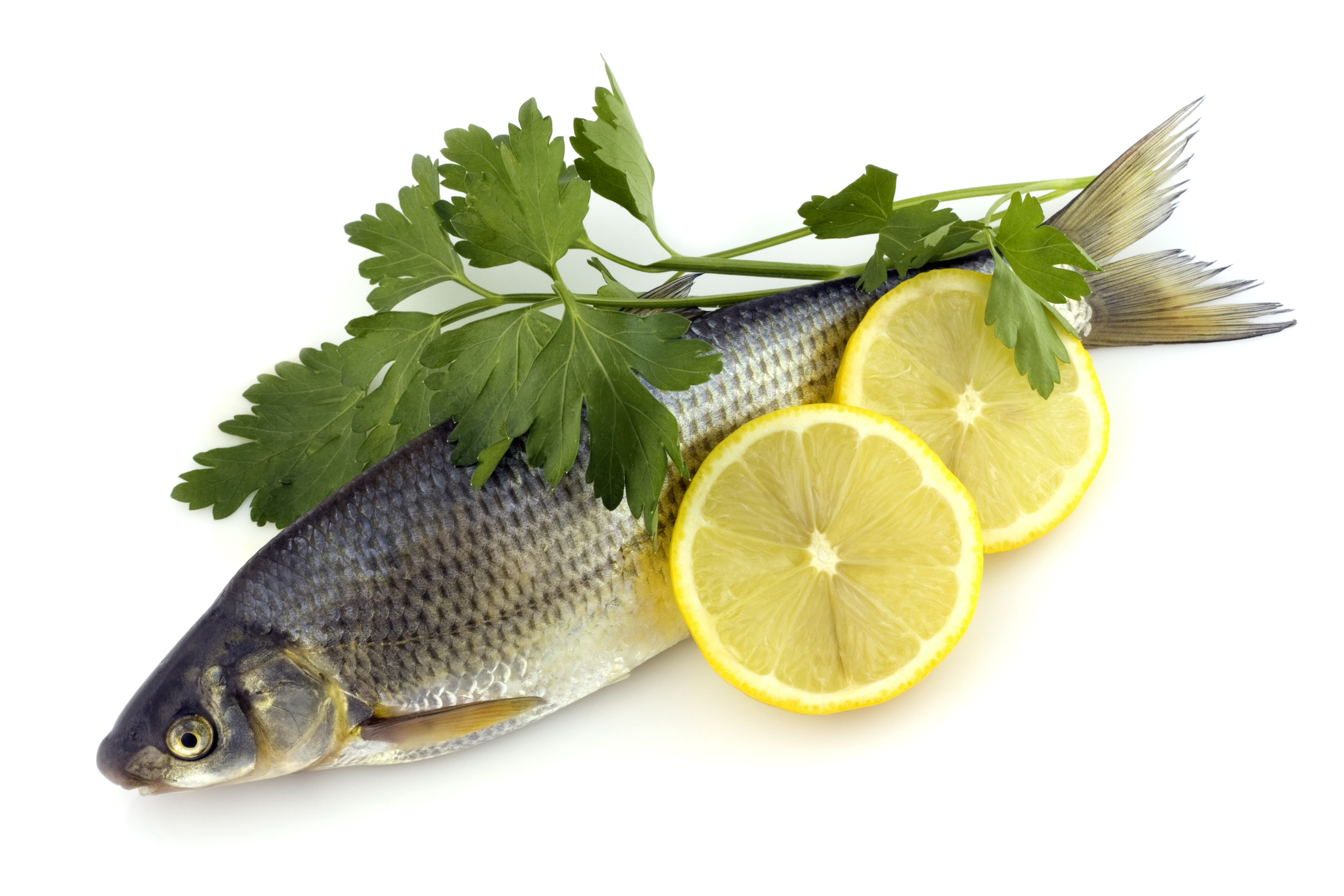 Pestele ne poate imbolnavi de diabet?