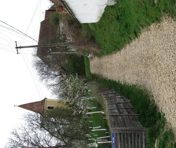 Turnul inclinat de la Rusi