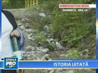 Cetatea Sarmizegetusa, regat devastat de nepasare si cautatori de aur