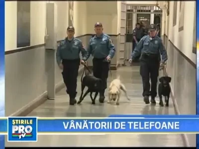 Cainii politisti, spaima celularelor in puscarii!