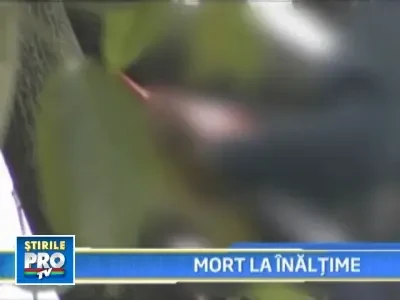 A murit electrocutat in timp ce taia crengile unui copac!