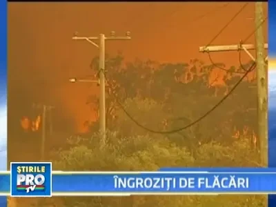 Incendiile de vegetatie fac ravagii in nord-estul Australiei!