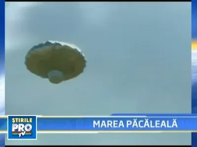 Au inscenat disparitia propriului copil ca sa apara la televizor!