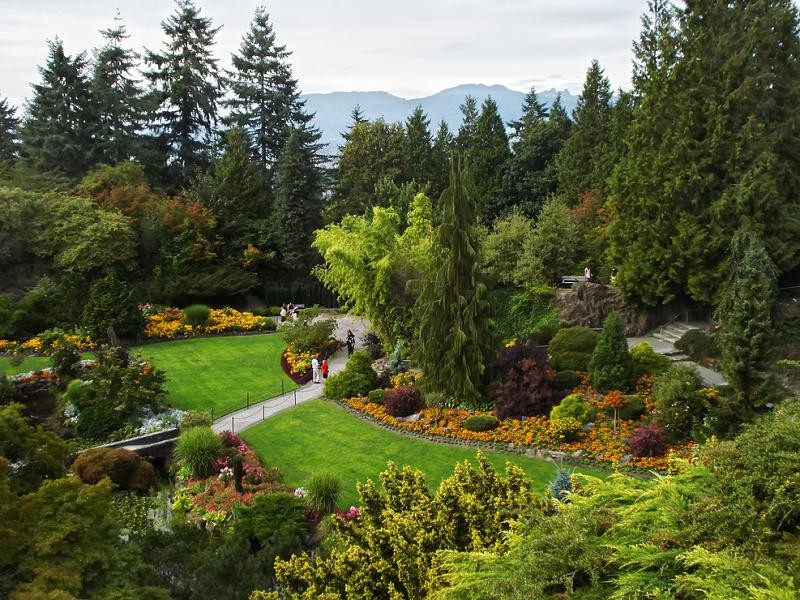 Ultima moda in materie de gradini de lux: palmierul de 5.000 de euro!