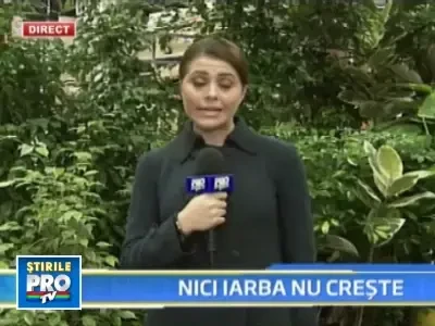 Afacerea cu amenajarea gradinilor, in paragina!