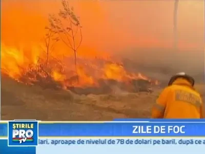 Australienii se lupta de mai bine de zece zile cu incendiile
