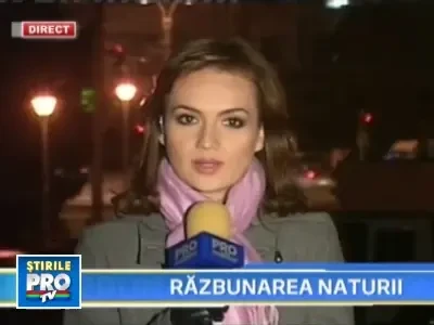 Era sa moara din cauza unei albine!