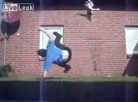 Breakdance-ul si pisicile nu prea merg mana-n mana! Vezi video!