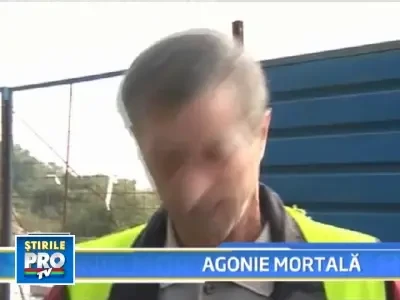 SOCANT! Injunghiata, s-a prabusit in plina strada, cerand ajutor!