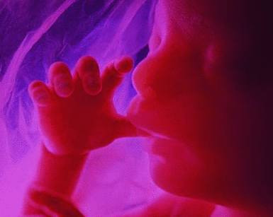 Transplantul de uter va fi posibil in doi ani!