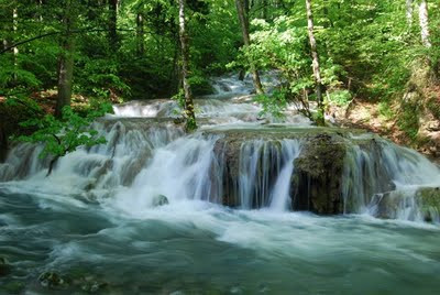 Cheile Nerei, refugiul verde