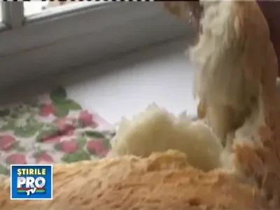 Painea de Pecica, marca inregistrata!