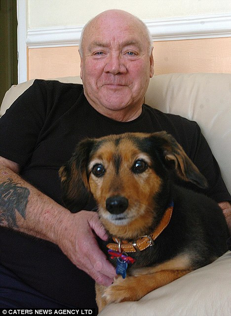 Cel mai batran caine din lume are 21 de ani!