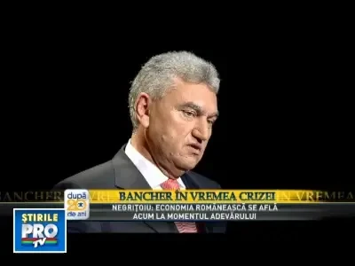 Misu Negritoiu: Cursul va ajunge pana la sfarsitul anului la 4,5 lei/euro