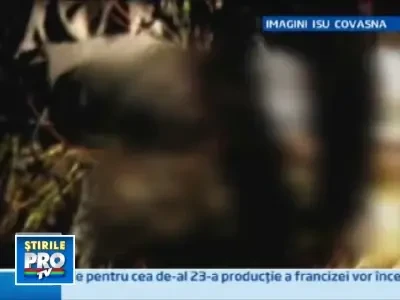 In goana spre moarte: doua masini rasturnate, doua victime