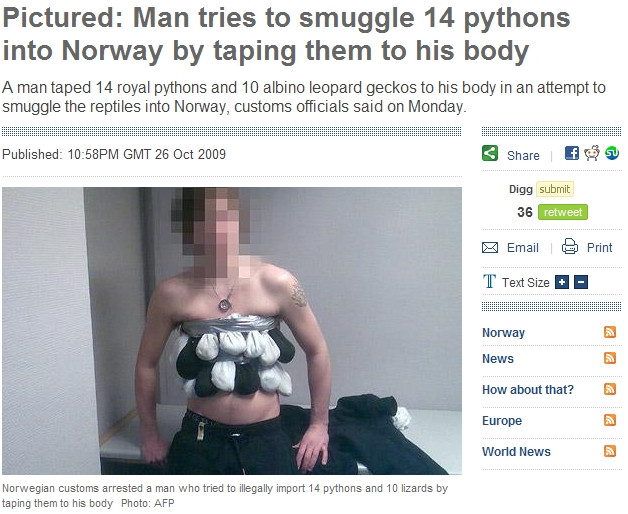 Voia sa treaca de vama cu 14 pitoni lipiti de corp!