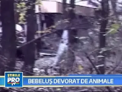 Nou-nascut, gasit fara cap si maini! A fost lasat prada animalelor padurii