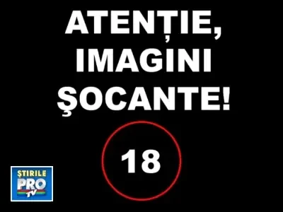 VIDEO SOCANT: Asa ucide un asasin platit al Mafiei italiene!
