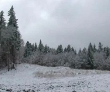 A nins in centrul tarii! Turistii se bucura, autoritatile au de furca