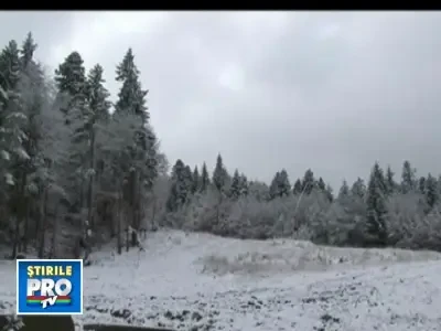A nins in centrul tarii! Turistii se bucura, autoritatile au de furca