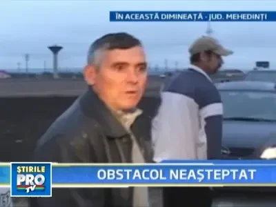 A fost la un pas de moarte din cauza unor cai lasati nesupravegheati