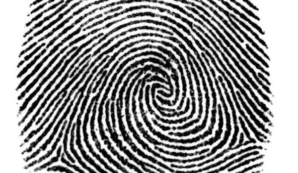 Angajat in primaria din Timisoara? Trebuie sa iti lasi amprenta la intrare