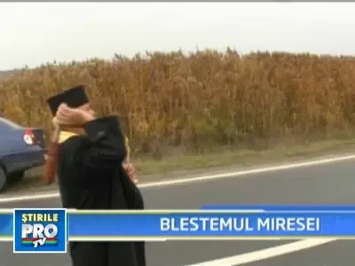 Blestemul miresei moarte? 12 barbati si-au pierdut viata langa troita ei