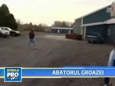 Cruzime fara margini la un abator din statul american Vermont