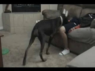 NO COMMENT! Atentat la "bijuterii"