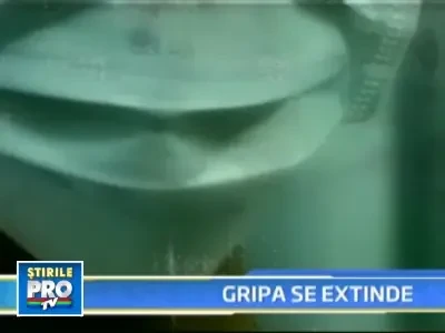 Gripa noua, AH1N1, se raspandeste uluitor! 91 de cazuri in ultima zi