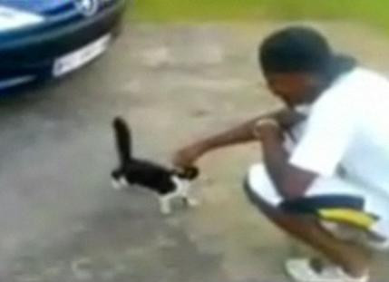 Ghiceste animalul din poveste! Pisica maltratata de doi tineri