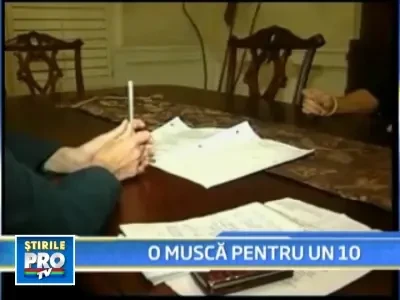 Oferta tentanta la scoala: cine mananca o musca ia nota 10!