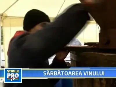 Petrecerea vinului in Constanta!