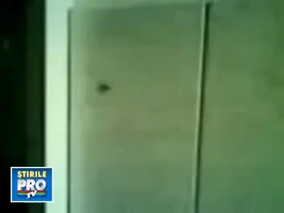 La o maternitate din Timisoara colcaie gandacii!