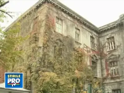 AH1N1: Scoli pustii, multinationale ticsite cu masti