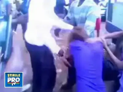 Bataie intre pitipoance! S-au tavalit, pana s-au dezbracat!