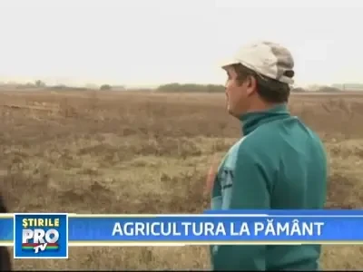 Agricultura la banateni: 1 hectar lucrat la 10 lasate in voia buruienilor!