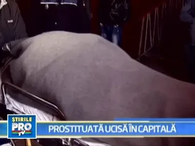 Descoperire terifianta: prostituata de 23 de ani, ucisa de clientul ei