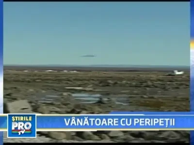 A rezistat 45 de ore pe o bucata de gheata in deriva si cu un urs alaturi!