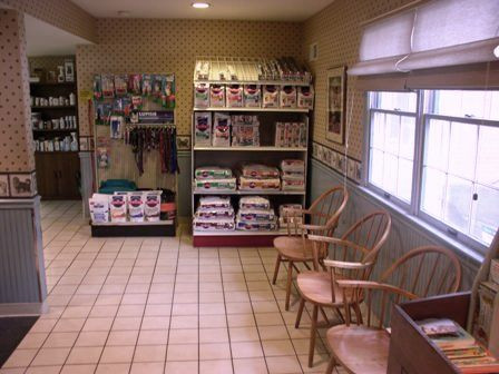 O catelusa de sase ani, gestanta, a fost abandonata la veterinar de stapana