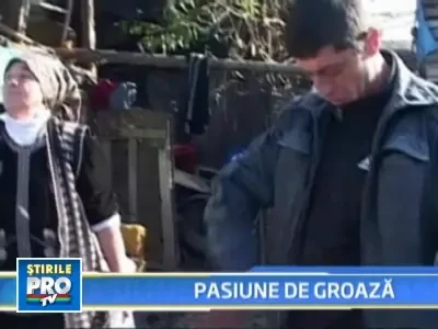Sex cu iapa si cu capra! Pentru ca iapa nu a mai vrut, a omorat-o