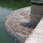 Tone de gunoi sufoca Cerna, la doi pasi de varsarea in Dunare!